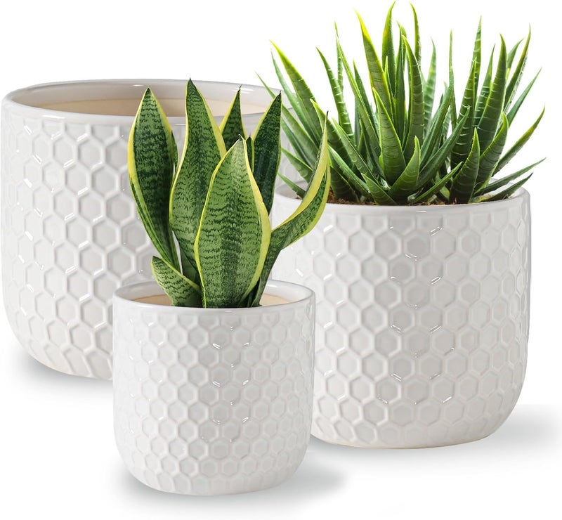 Docrin Store Plant Pots Indoor with Drainage: 6.4+5.3+4 Inch Ceramic Flower Pots for Plants - Set of 3 Modern Decorative Planters for House/Office/Gift - White Honeycomb - Image 1